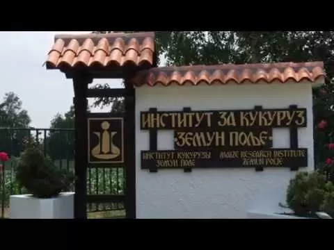 Održan Dan polja ZP hibrida