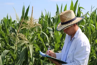 Međunarodna konferencija “The Frontiers of Science and Technology in Crop Breeding and Production”,