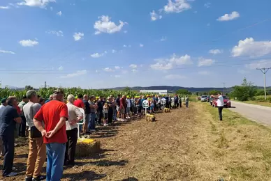 Lokalni Dan polja ZP hibrida u Zvezdanu (Zaječar)