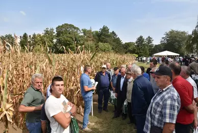 Dan polja ZP hibrida 2019. godine