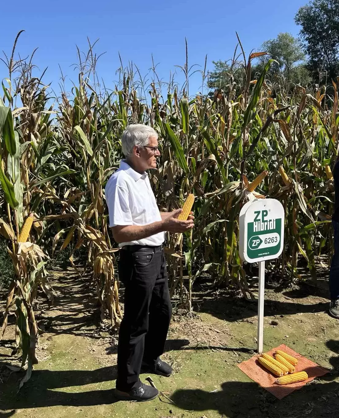 Dan polja u Bosni i Hercegovini Dan polja u Bosni i Hercegovini