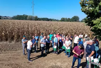 Lokalni Dan polja ZP hibrida